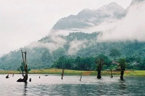 Hồ Noong - một trong những khu rừng nổi đẹp nhất Việt Nam