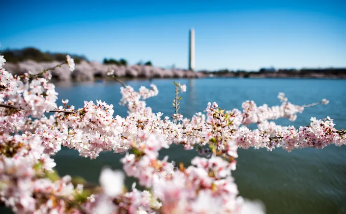 Hồ Tidal Basin và các đài tưởng niệm