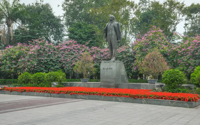 Hoa ban tím nở rộ tại Công viên Lê-nin
