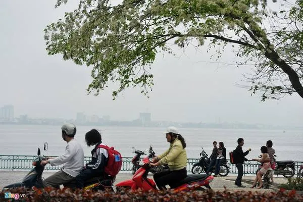 Hoàn hôn trên Hồ Tây