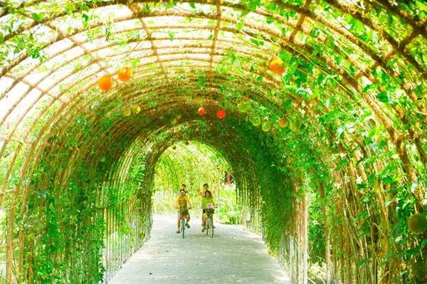 Hoạt động tham quan miệt vườn tại Forever Green Resort