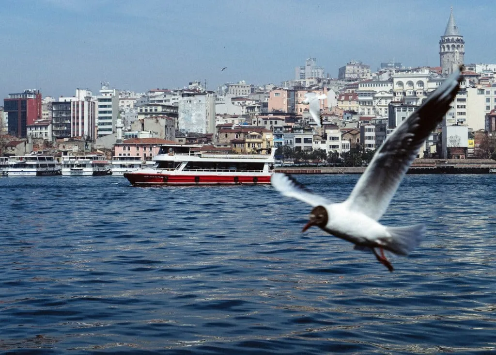 Istanbul! Istanbul!