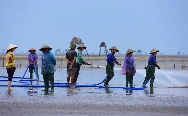 Khai thác ngao bằng phương pháp phun nước hiện đại tại Đồng Châu, Thái Bình.