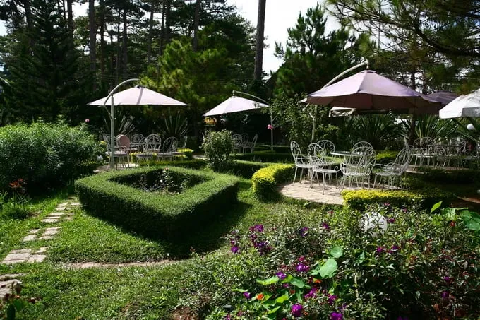 Không gian sân vườn thoáng đãng tại Hoa Violet Ngày Thứ Tư