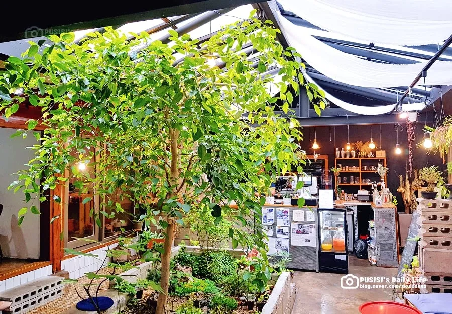 Không gian xanh mát tại một quán cafe sân vườn ở Seoul