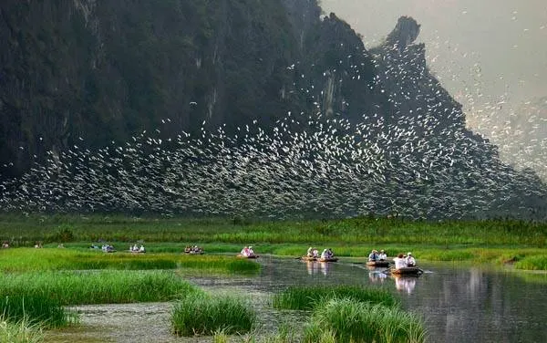 Khu bảo tồn thiên nhiên ngập nước Vân Long