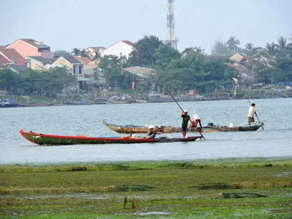 Khúc sông Hoài trở nên rộn ràng khi bước vào mùa cào hến tháng 2, tháng 3