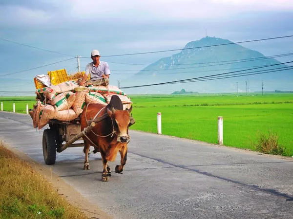 Khung cảnh bình yên, hiền hòa của đất và người Phú Yên. Ảnh: Thiện Nguyễn