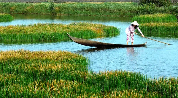Khung cảnh bình yên ở Cà Mau. Ảnh: camnangphuot.com