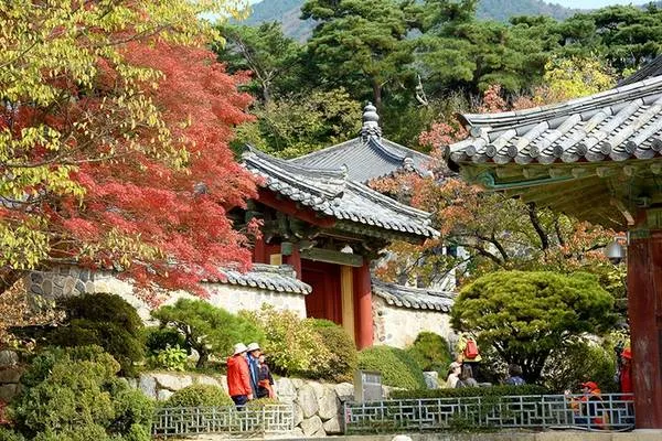 Khung cảnh chùa Bulguksa trong sắc thu rực rỡ