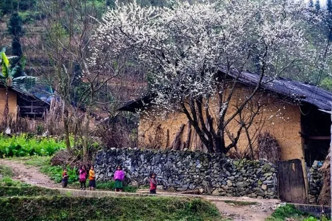 Khung cảnh hoang sơ ở Phố Cáo-Đồng Văn. Ảnh: VOVTV