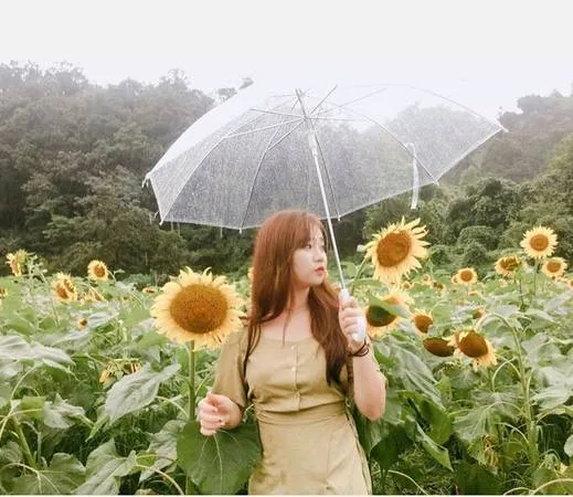 Khung cảnh làng quê Yangpyeong yên bình và trong lành.