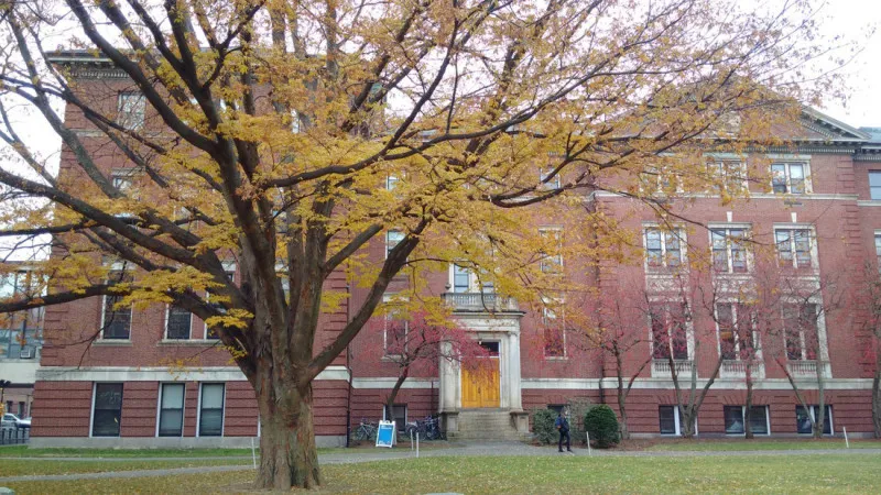 Khuôn viên trường Harvard mùa thu