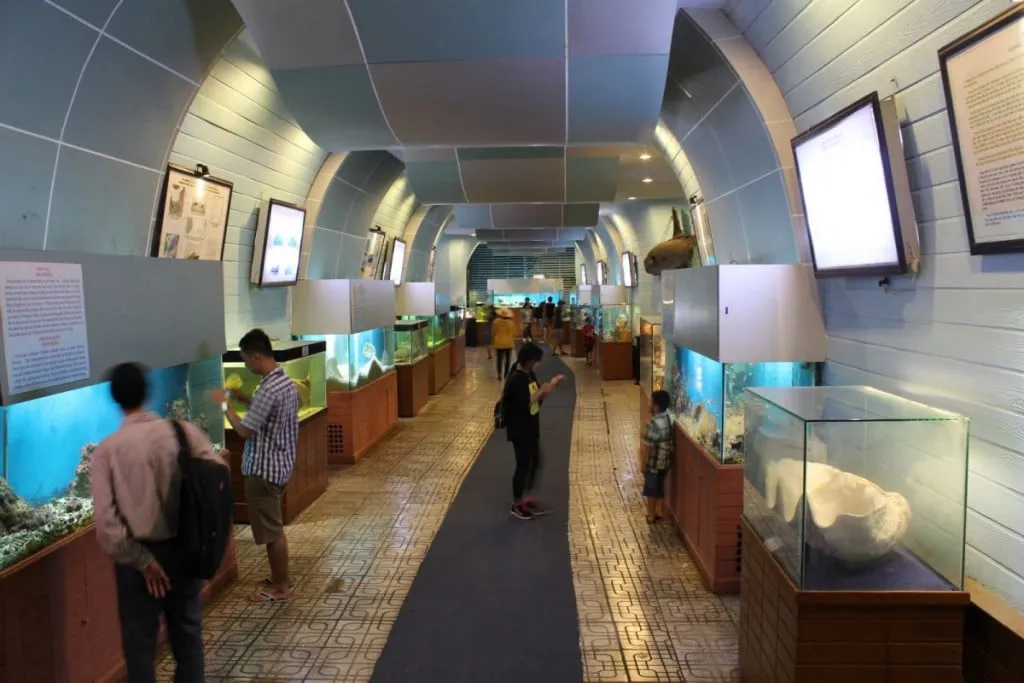 Khuôn viên Viện Hải dương học Nha Trang