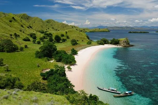 Komodo: Rồng Komodo, loài bò sát lớn nhất thế giới, đang dạo bước trên bãi cát trắng mịn của Vườn quốc gia Komodo.
