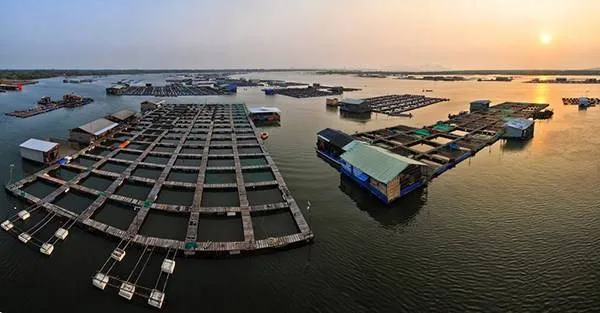 Làng bè Long Sơn