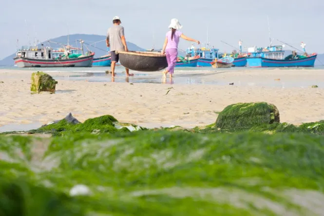 Làng chài Ninh Thủy với những chiếc thuyền đánh cá