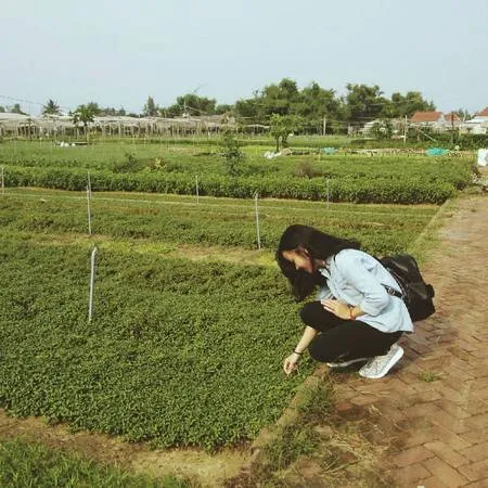 Làng rau Trà Quế - Không gian xanh mát giữa lòng phố cổ. Ảnh: baonhieu.net