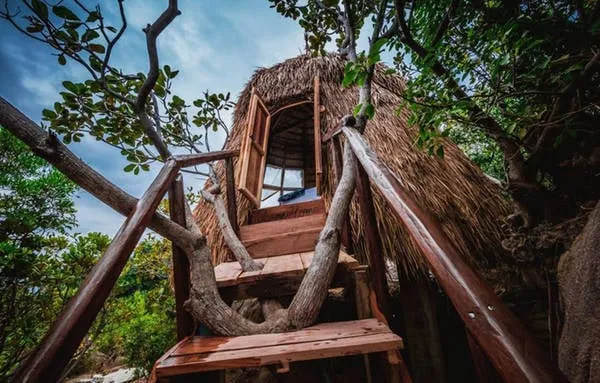 Lều tổ chim nhìn ra biển