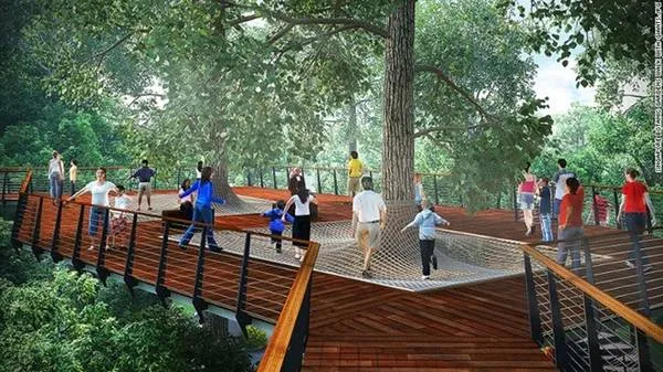 Lối đi trên cao giữa những tán cây trong Vườn thực vật Singapore.