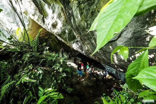 Lối vào hang Thẳm Phầy nhìn từ cửa hang