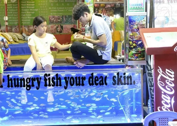 Massage cá