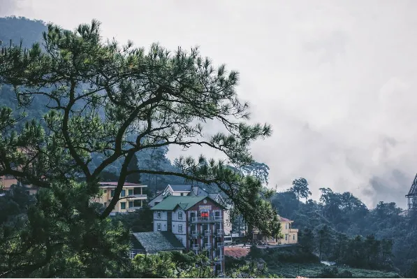 Mây phủ kín Tam Đảo. Ảnh: @recnacyob