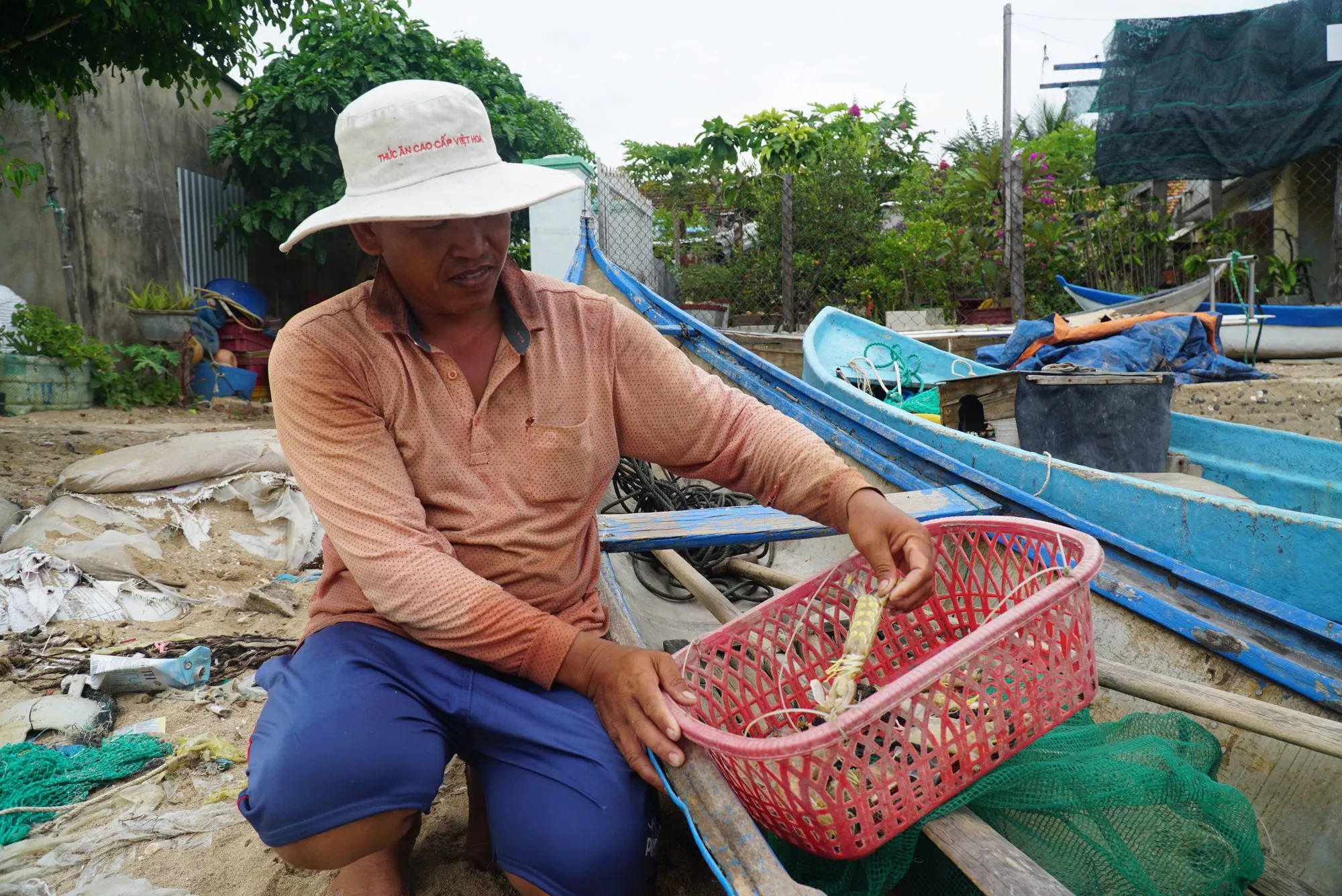 Mẻ tôm tít tươi ngon sau chuyến ra khơi. Ảnh: C.T/Báo Dân Việt.