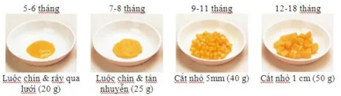 Minh họa độ thô của bí đỏ trong ăn dặm