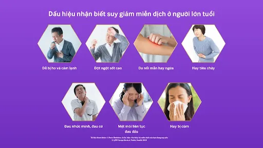 Mô tả hình ảnh: Biểu đồ thể hiện các dấu hiệu suy giảm miễn dịch ở người lớn tuổi