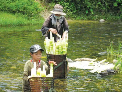 Món ngon Đắk Lắk - Măng le - iVIVU.com 