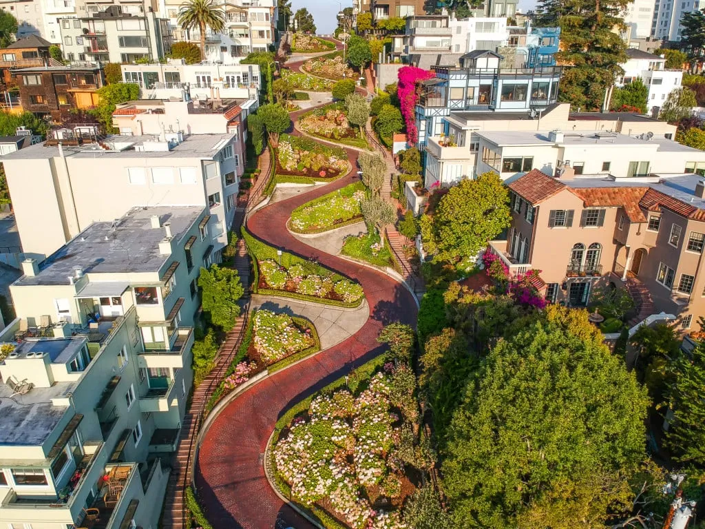 Một góc đường hoa Lombard với những khóm hoa rực rỡ sắc màu.