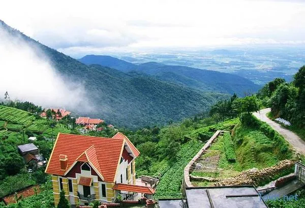 Một góc Tam Đảo chìm trong sương mờ ảo