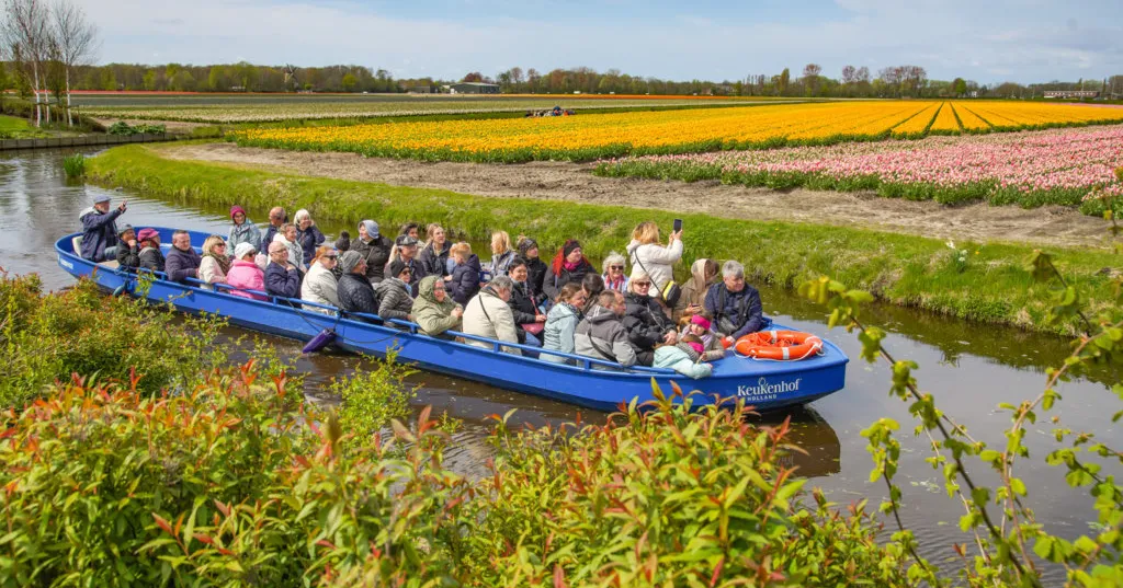 Một góc vườn hoa Keukenhof với ao nước và cây cầu