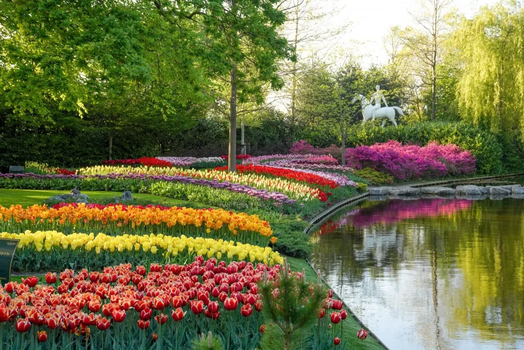 Một góc vườn hoa Keukenhof với những bông hoa tulip rực rỡ