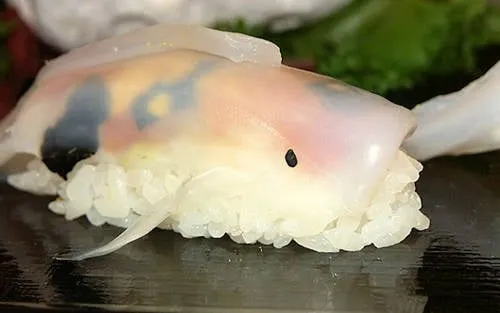 Mực thái mỏng tạo hình cá koi cho sushi