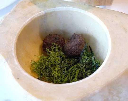 Nấm truffle đen trên bát đá