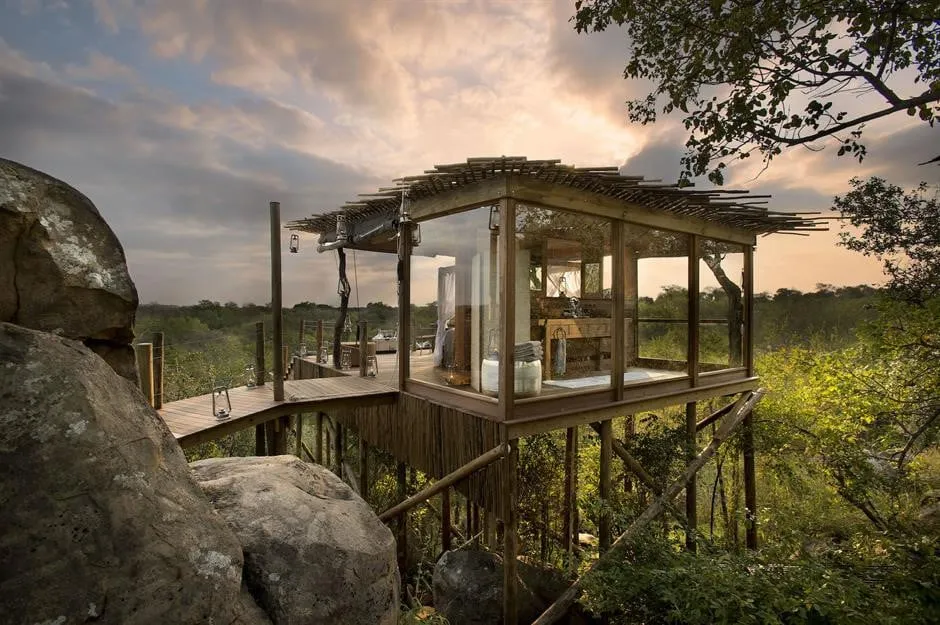 Ngắm nhìn động vật hoang dã từ Kingston Treehouse, Nam Phi