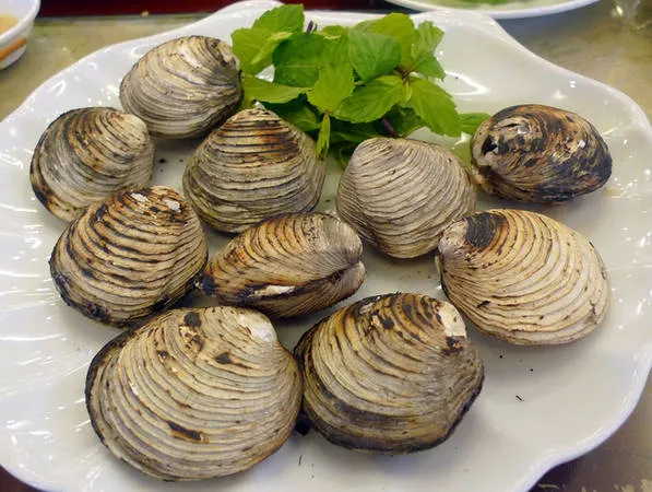 Ngán hấp