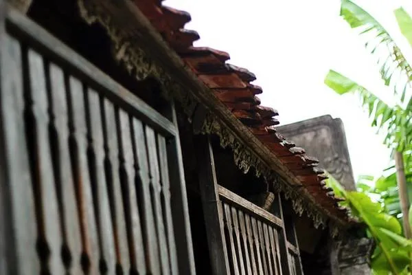 Ngôi nhà Bá Kiến có sân vườn rộng rãi, thoáng mát với nhiều cây cối xanh tươi bao quanh.