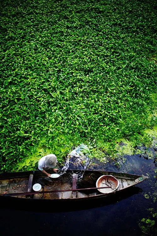 Ngư dân tát nước trên sông ở Hội An