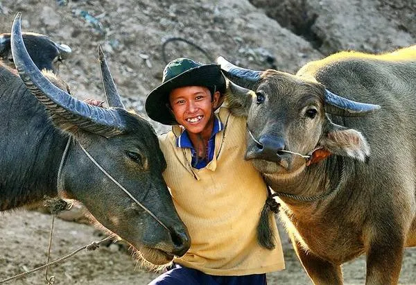 Người dân An Giang đánh bắt cá mùa nước nổi trên những chiếc thuyền nhỏ.