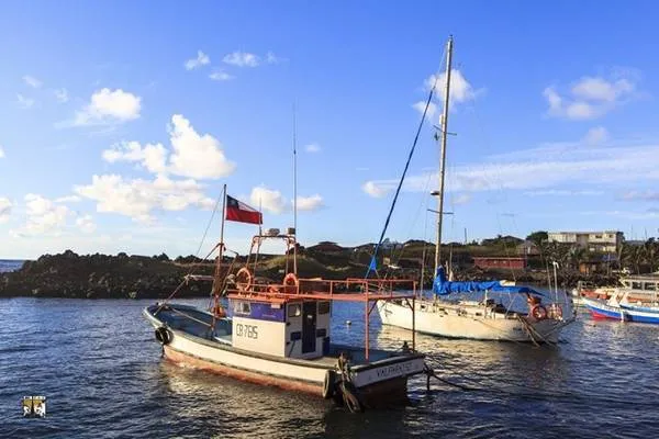 Người dân Rapa Nui sinh sống chủ yếu bằng nghề đánh bắt cá và chăn nuôi, gìn giữ những nét văn hóa truyền thống.