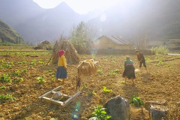 Người dân tộc thiểu số đang canh tác trên những hốc đá