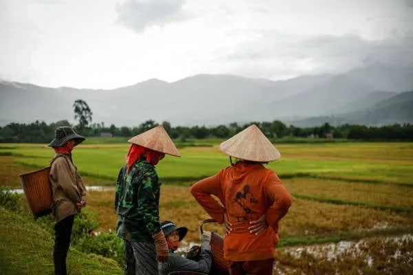 Người nông dân nghỉ ngơi sau cơn mưa tại huyện Lắk - Ảnh: TIẾN THÀNH