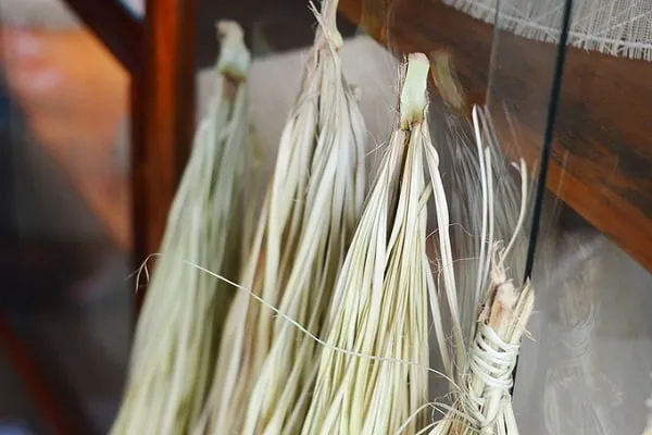 Nguyên liệu làm nón ngựa