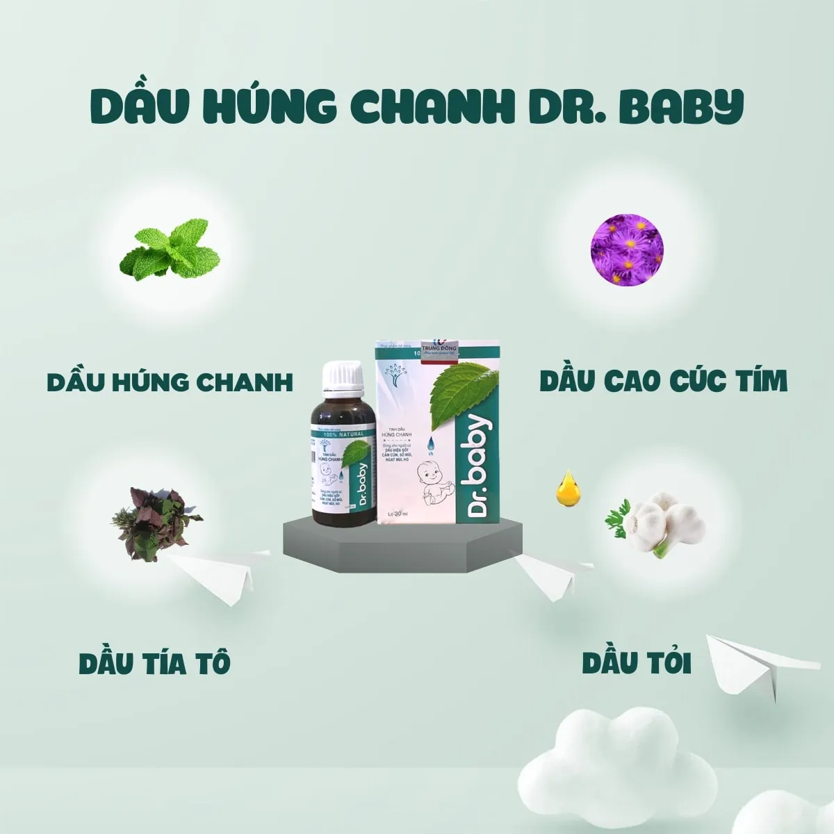 Nguyên liệu thảo dược của dầu húng chanh Dr Baby