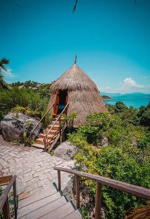 Nội thất bên trong lều tổ chim