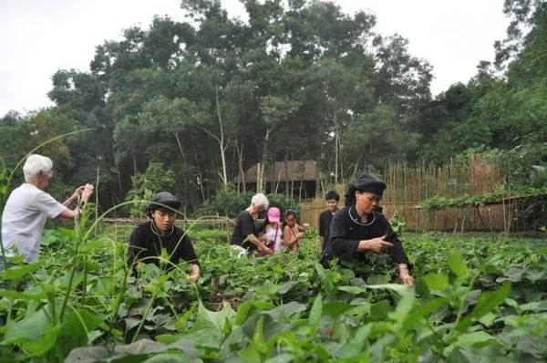 Nội thất nhà sàn tại làng Thái Hải được bài trí gọn gàng, sạch sẽ và thoáng mát.