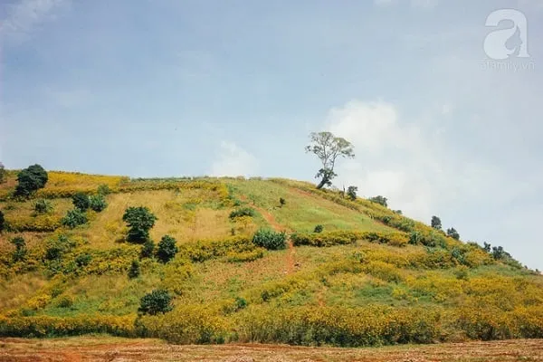 Núi lửa Chư Đăng Ya nhìn từ trên cao